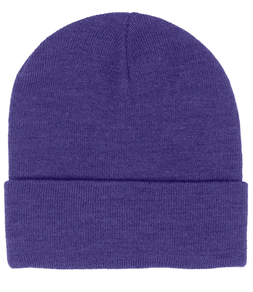 product image of pro rtx beanie in colour purple photographed on a white background